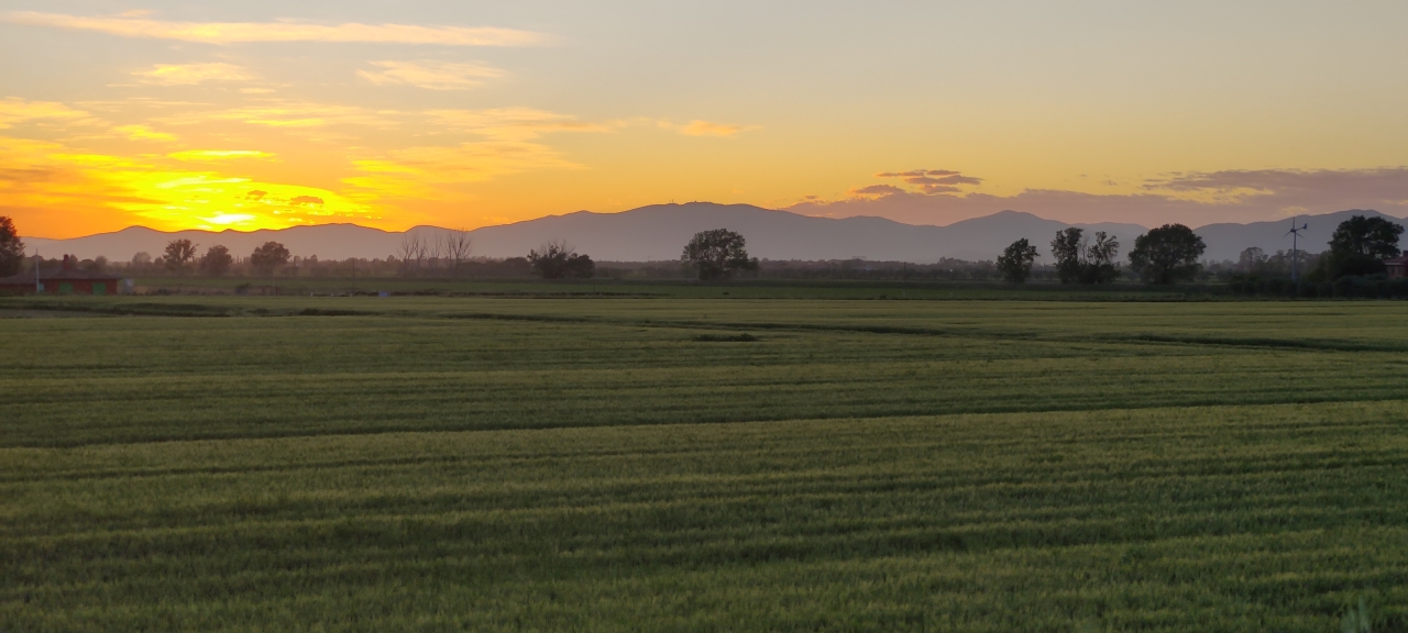 Vista Panoramica