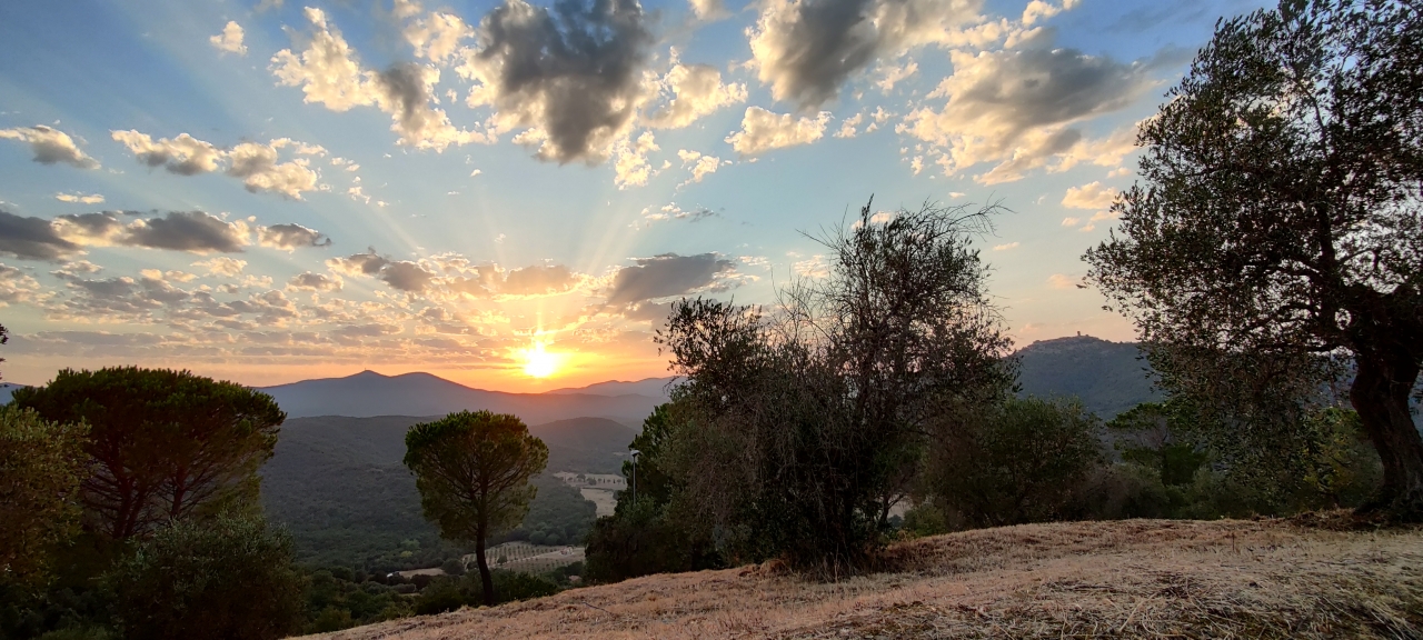 Vista Panoramica